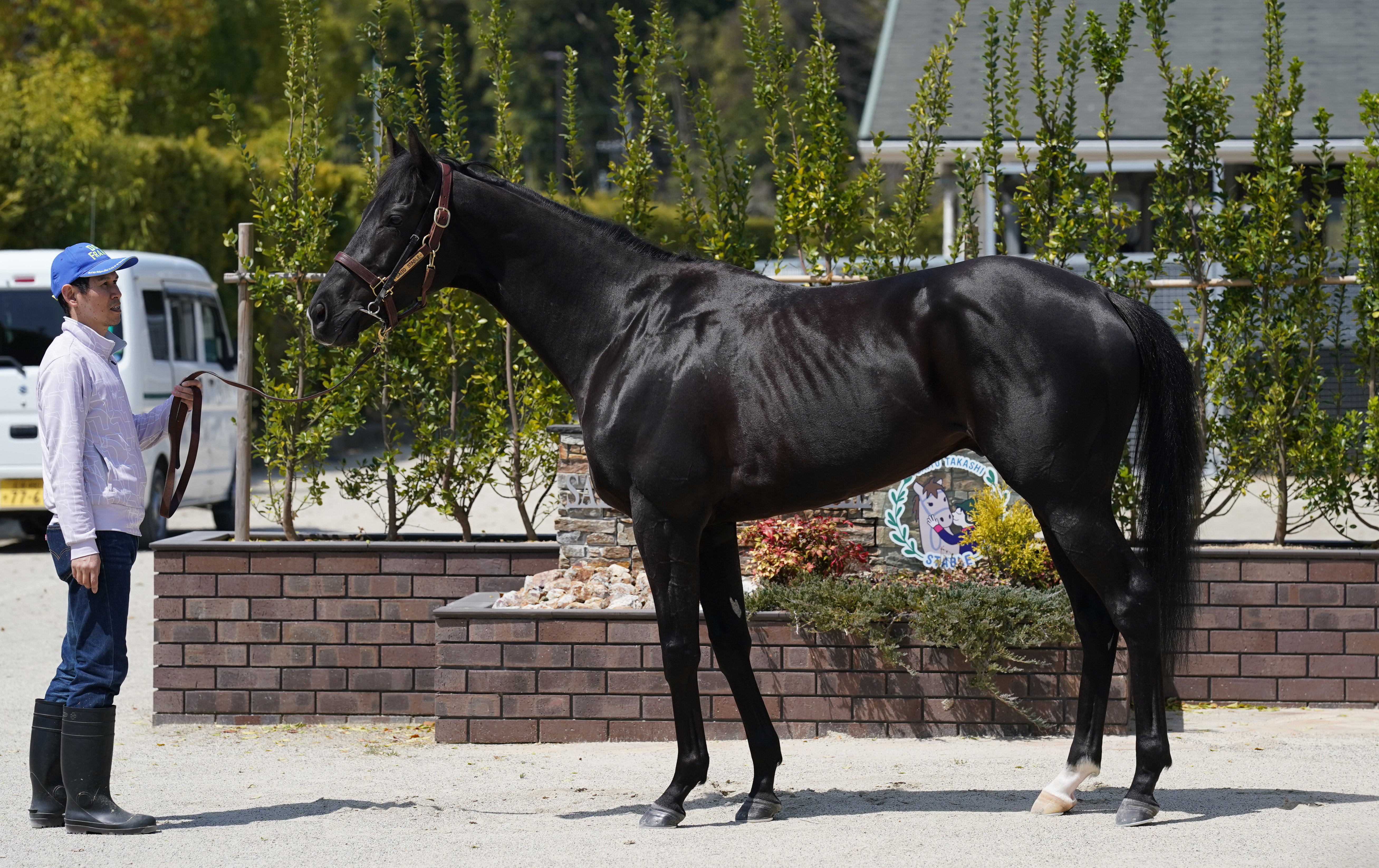 細江純子のシン・ヨモウマ話（3）】キタサンブラックが〝キリン〟だっ