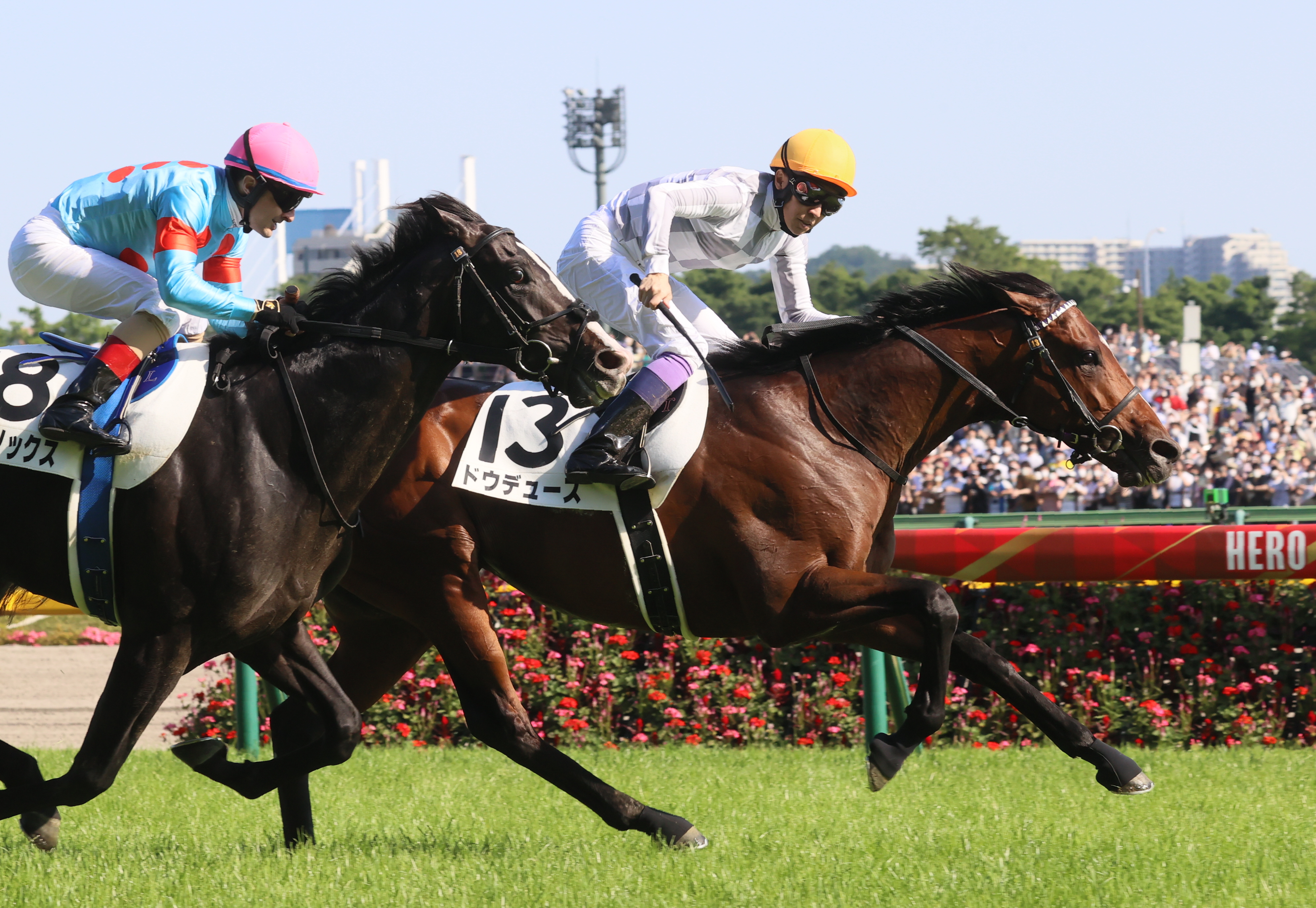 ゔ*す様 1999年 日本ダービー 現地馬券18頭 ゔ*す様 1999年 日本