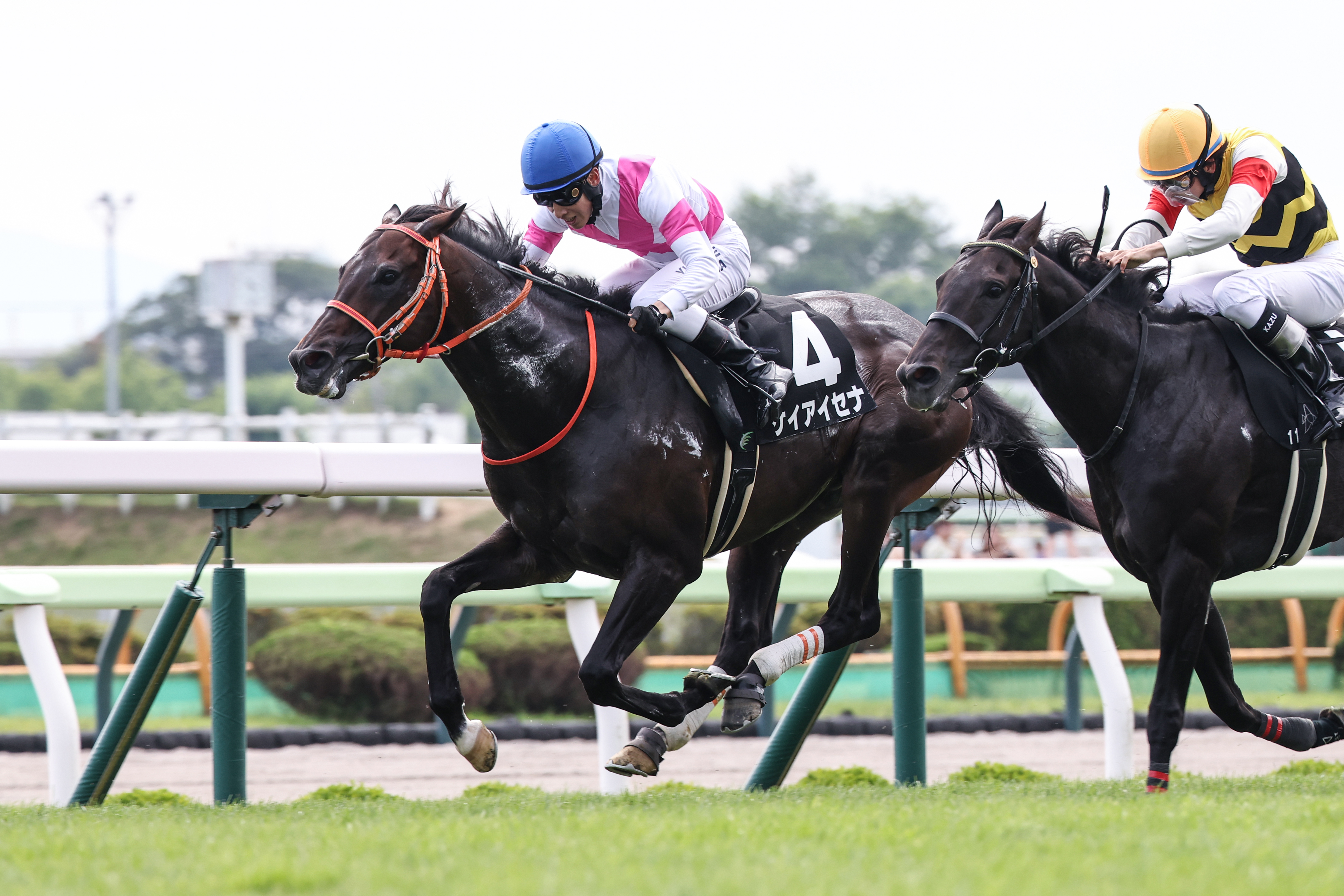 現地購入的中単勝馬券【3歳新馬（デビュー戦/初勝利）】タイム