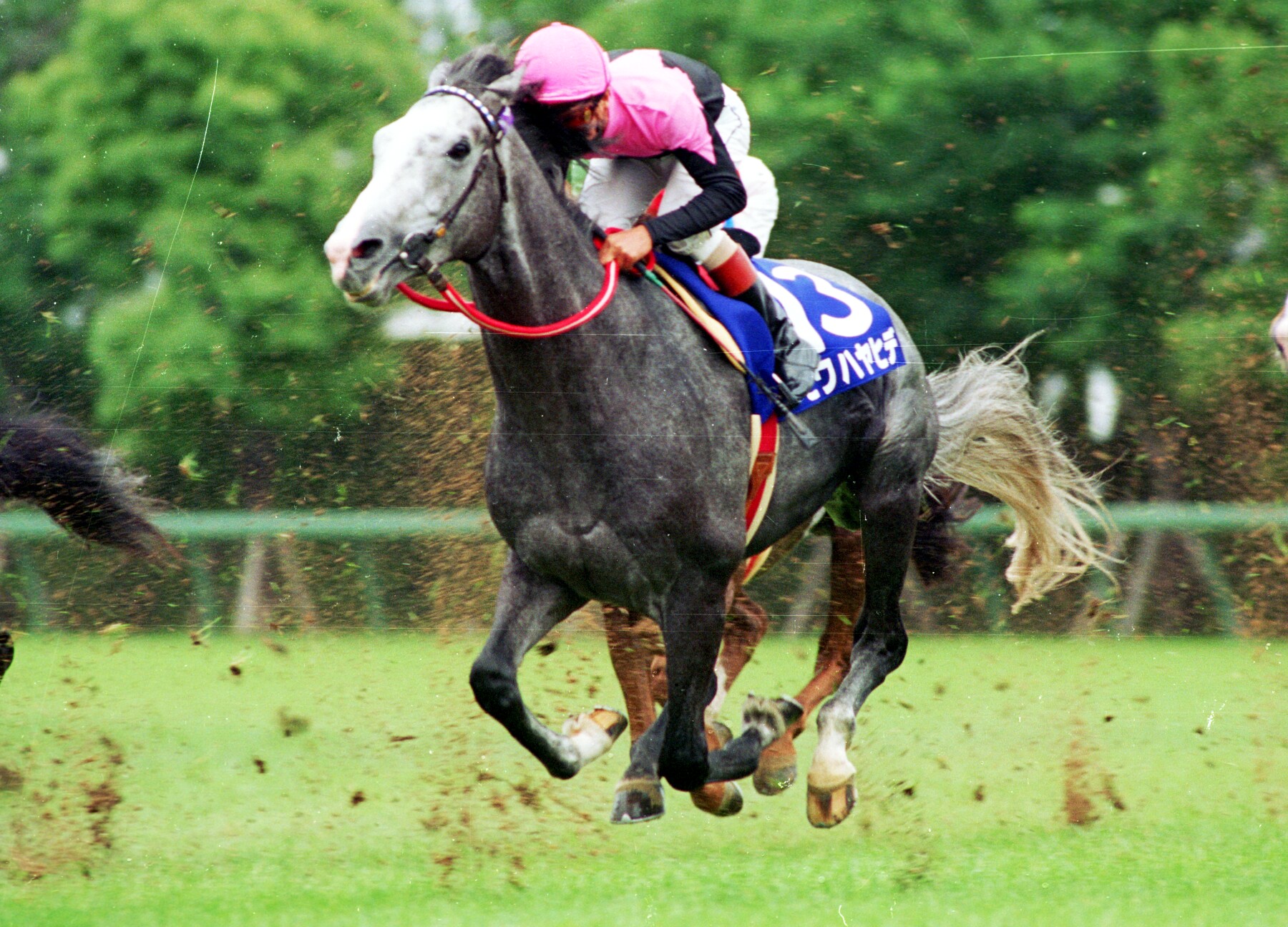 名馬連載【1993年ビワハヤヒデ、ナリタタイシン、ウイニング