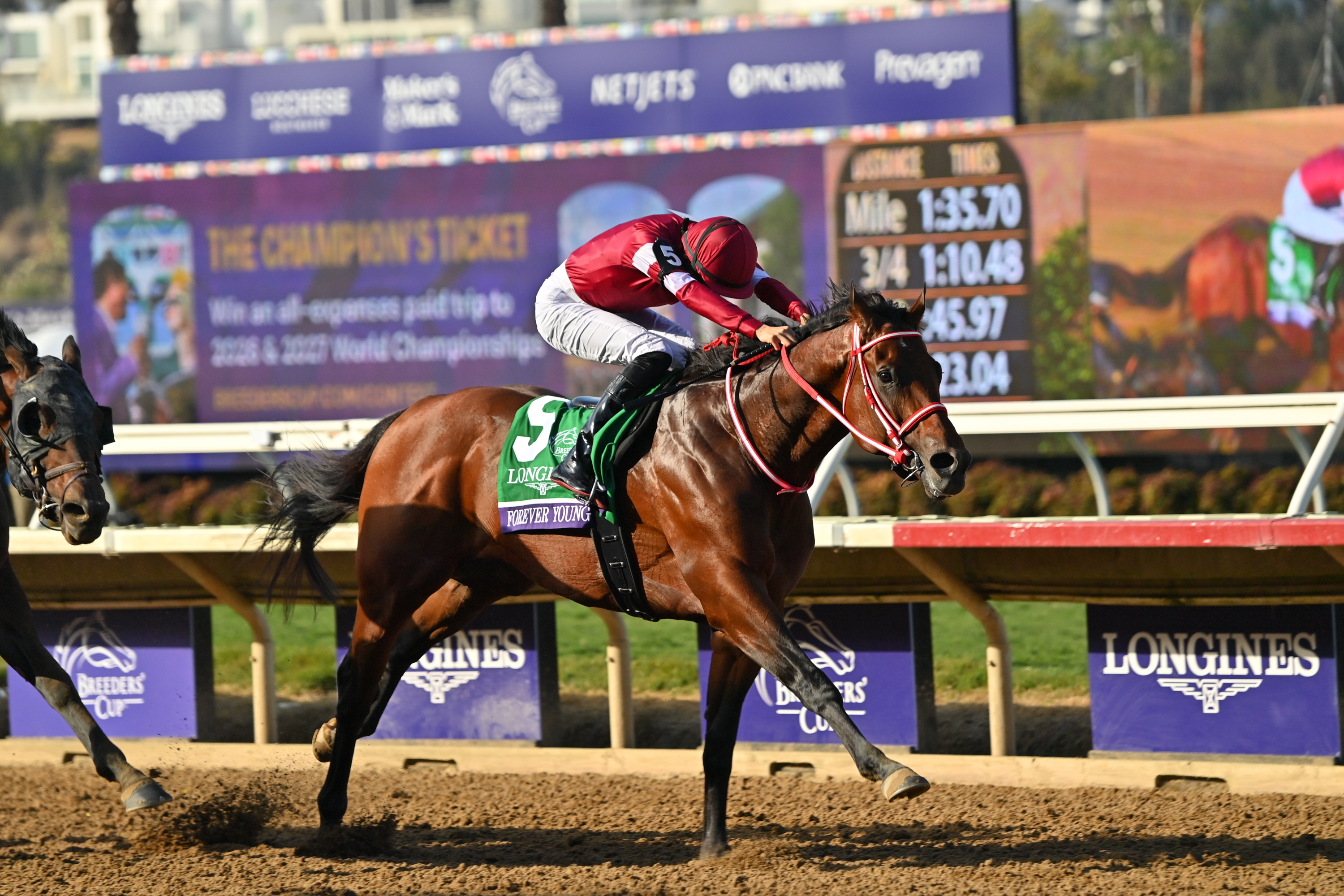 BCクラシック】フォーエバーヤングが日本調教馬の総賞金歴代トップに