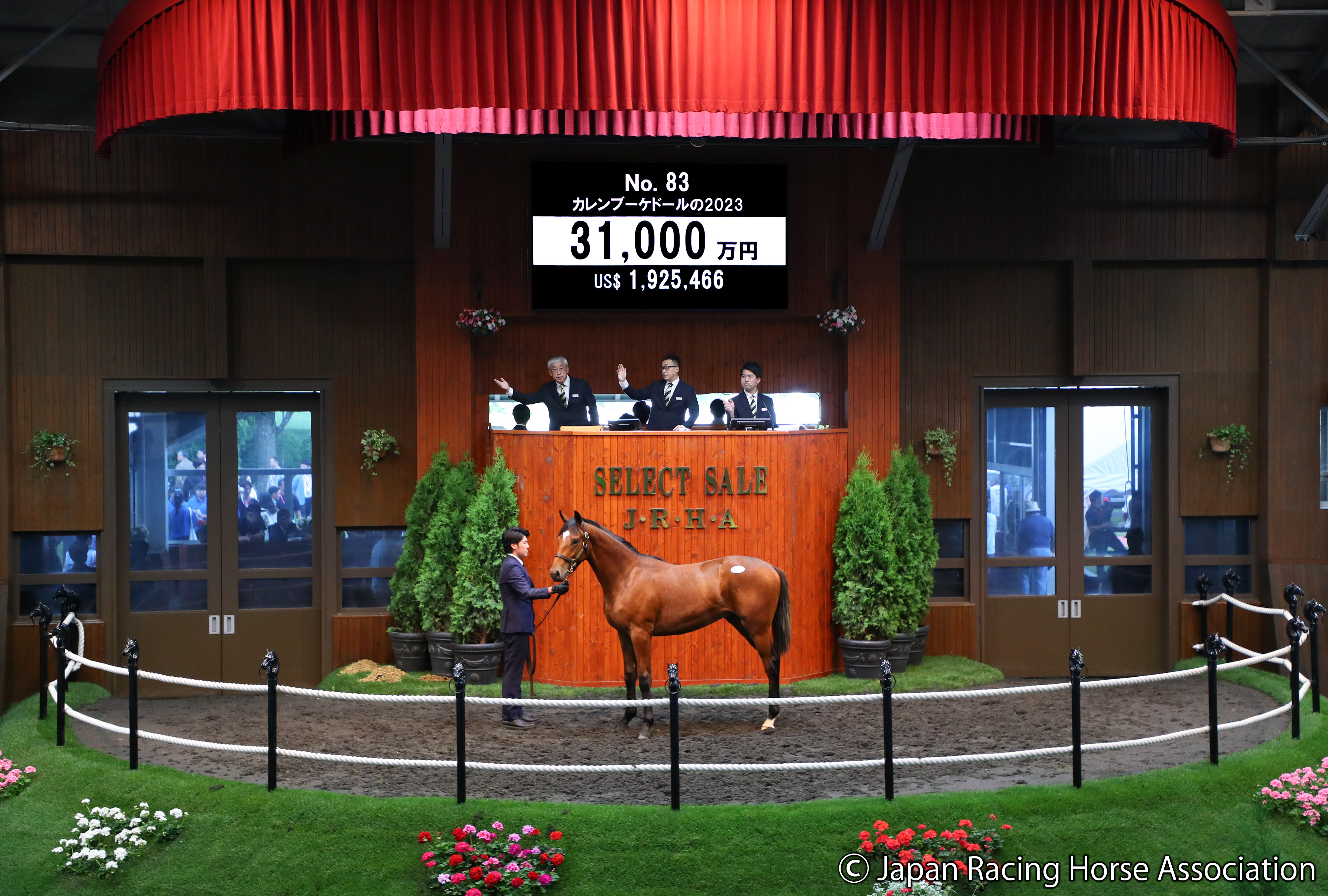 セレクトセール2024】TNレーシング 計7頭11億2600万円爆