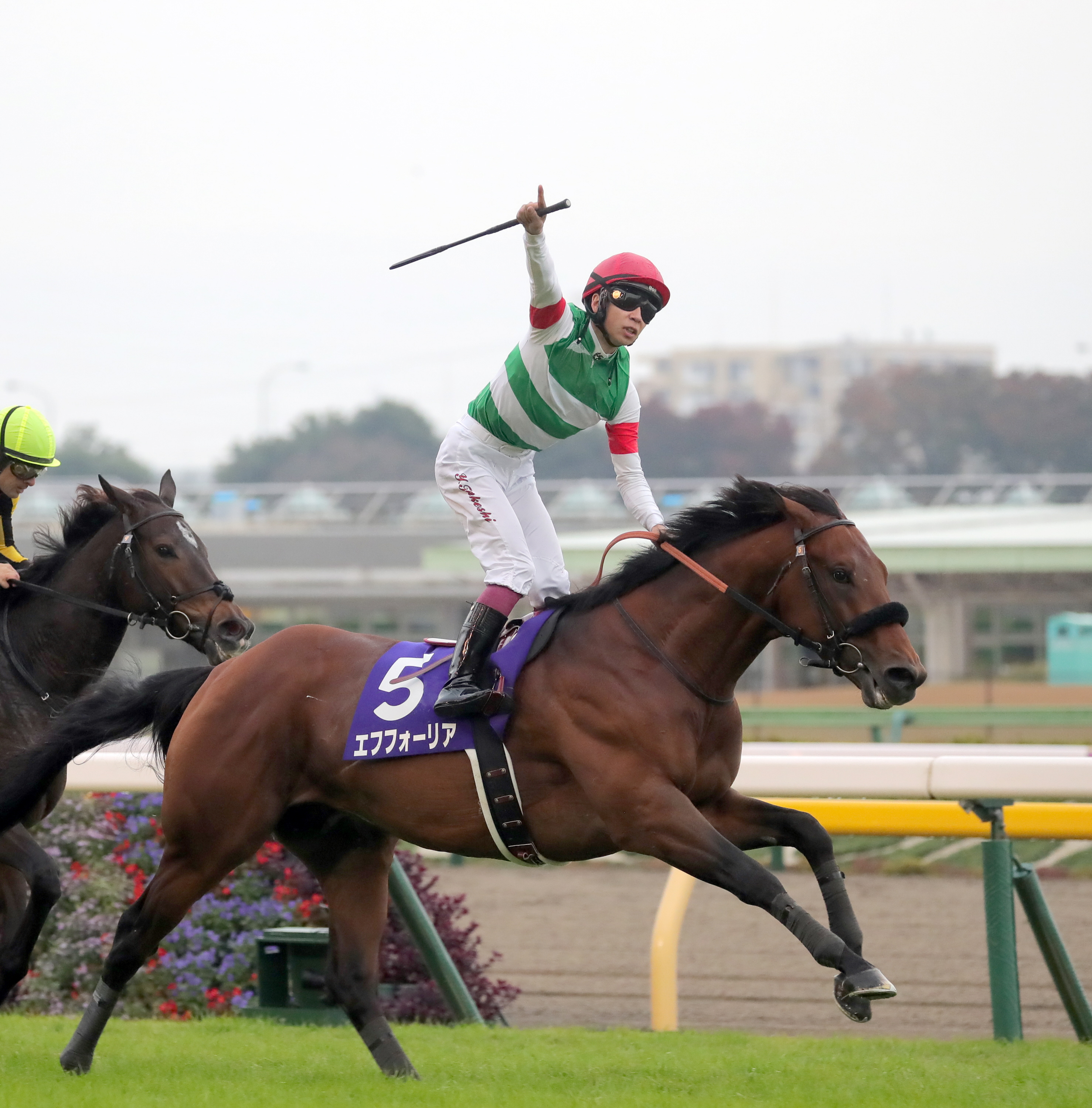 エフフォーリア 横山武 ホースレーシングカード ホログラム 世界限定