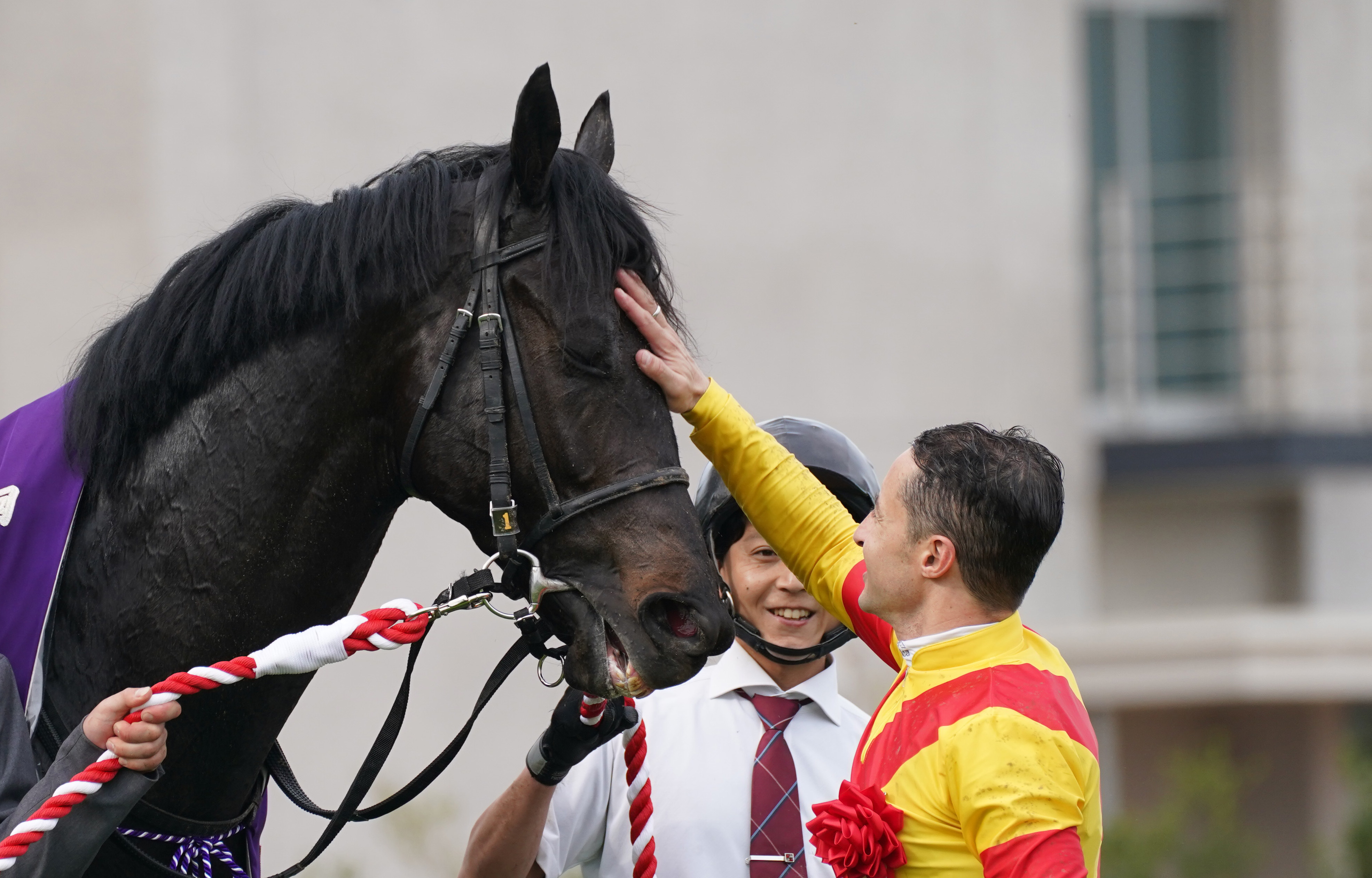 ジャスティンパレス ゼッケン 実使用 G1 馬 ジャスティンパレス