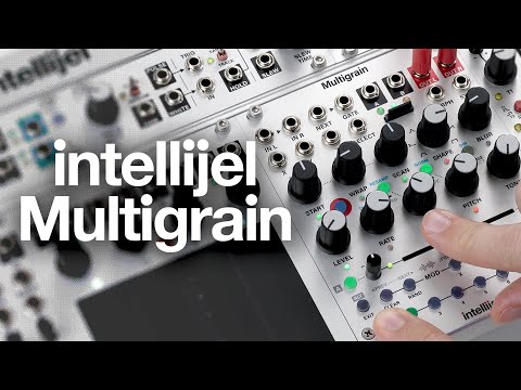 Intellijel Designs Multigrain— Clockface Modular