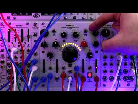 XAOC Devices Odessa— Clockface Modular