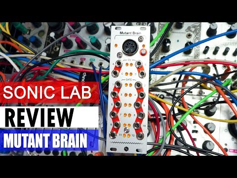 Hexinverter Mutant Brain— Clockface Modular