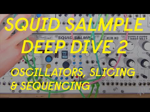 ALM Busy Squid Salmple— Clockface Modular