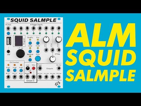 ALM Busy Squid Salmple— Clockface Modular