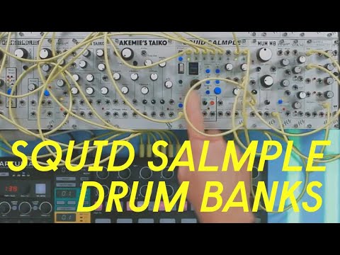 ALM Busy Squid Salmple— Clockface Modular