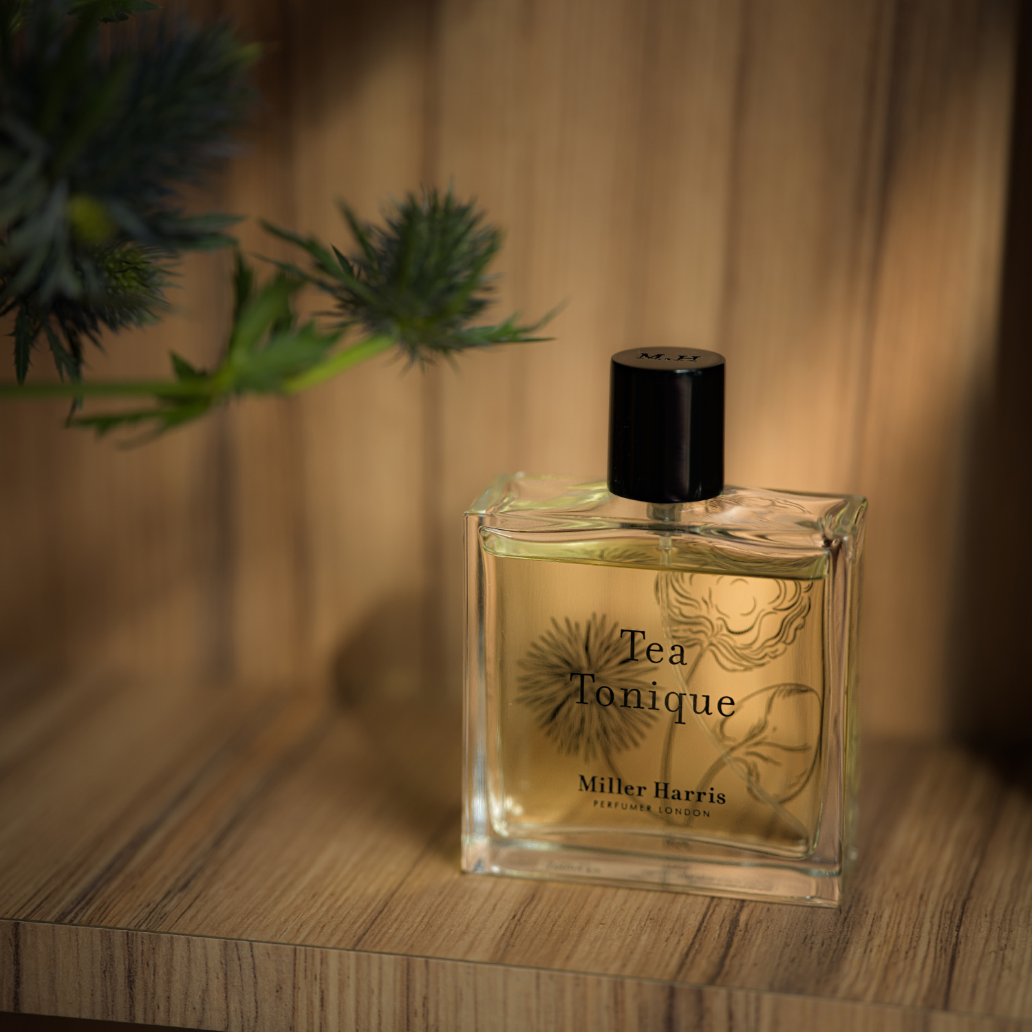 Tea Tonique Eau de Parfum | Miller Harris