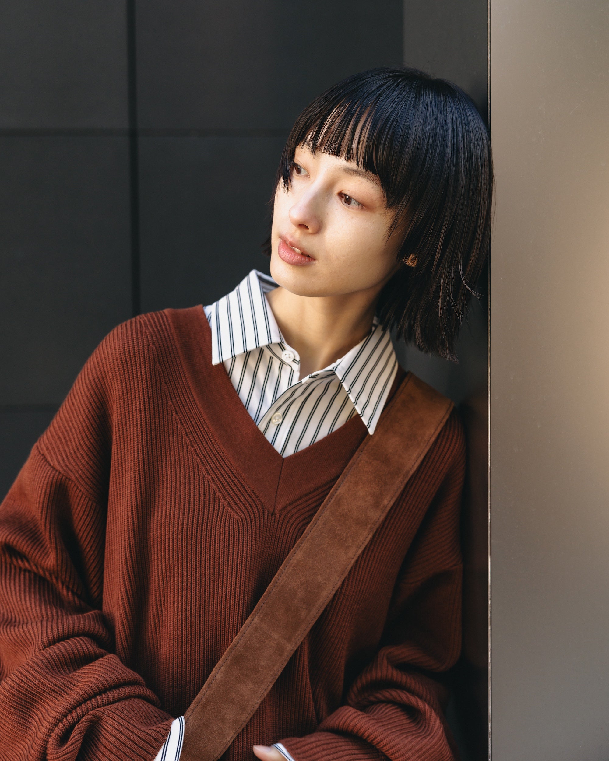 FINE WOOL V-NECK KNIT PULLOVER (BROWN)