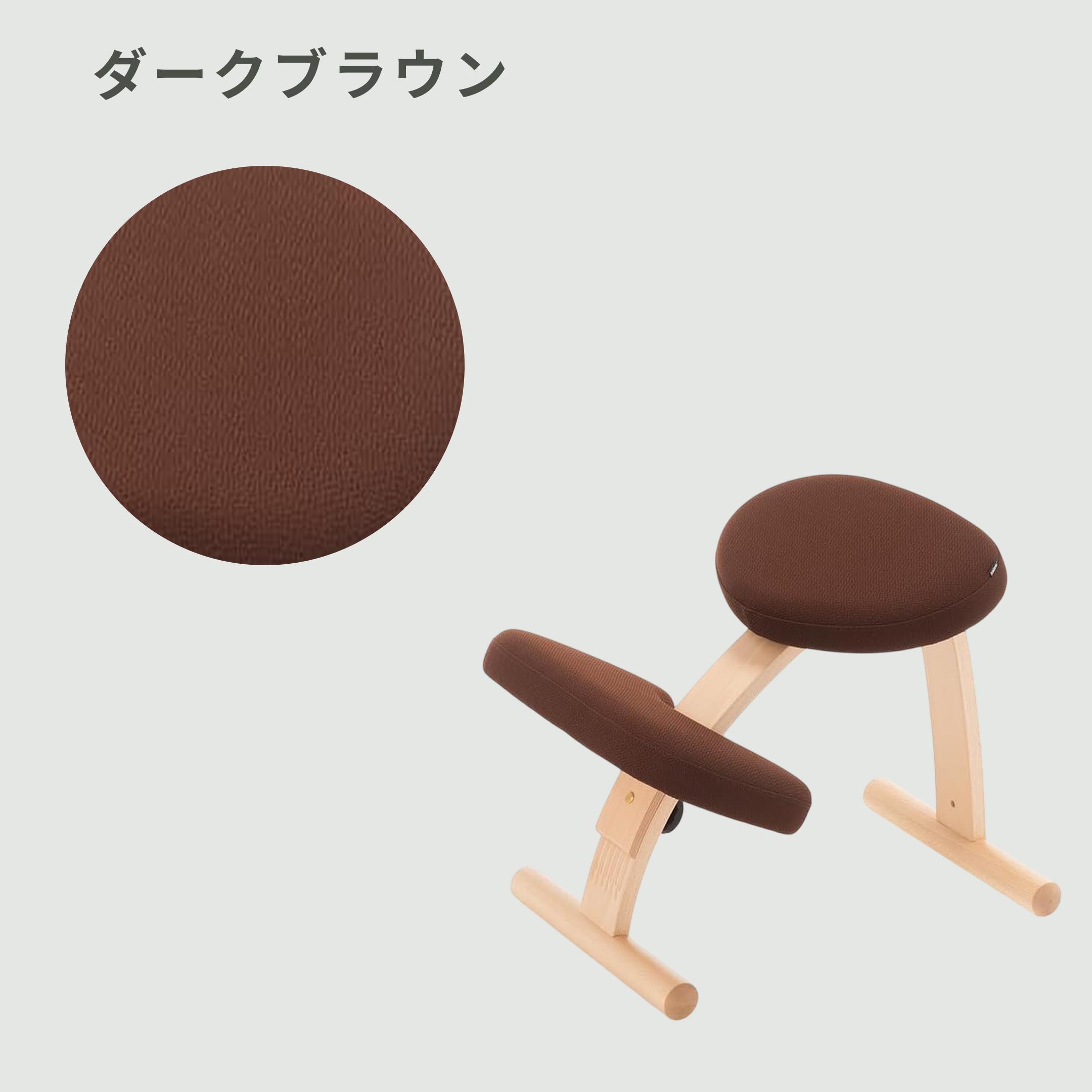 BALANS LAB バランスイージー チェア 通常フレームのレンタル