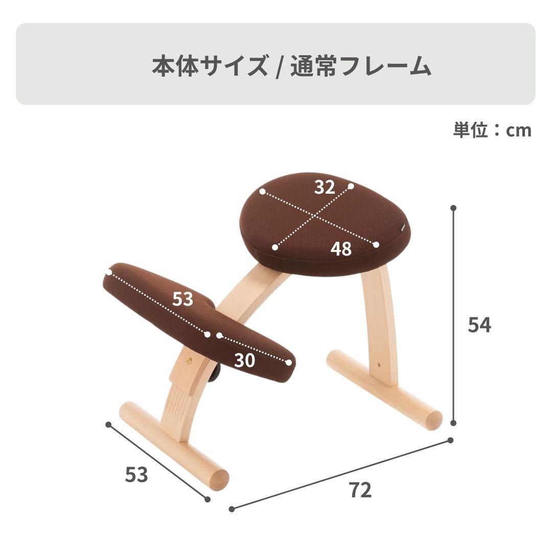 BALANS LAB バランスイージー チェア 通常フレームのレンタル