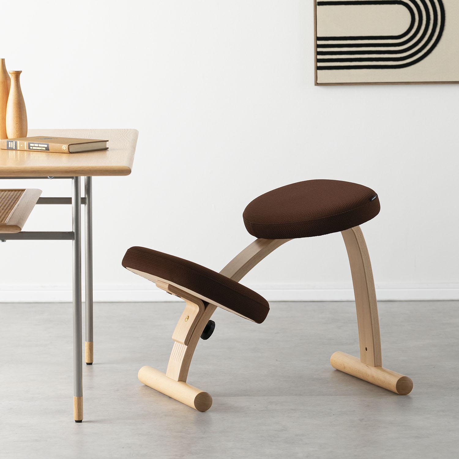 BALANS LAB バランスイージー チェア 通常フレームのレンタル