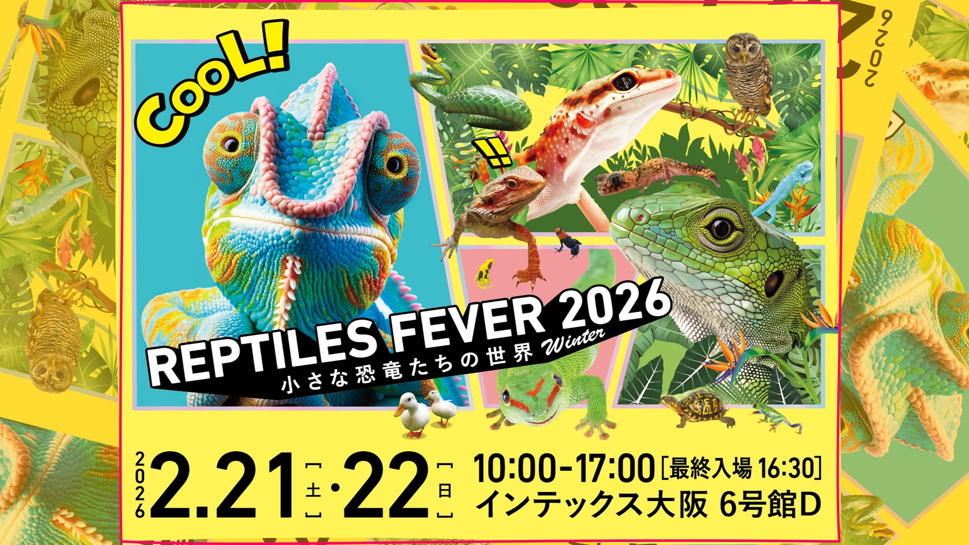 お得な前売券販売開始！爬虫類・エキゾチックアニマルイベント