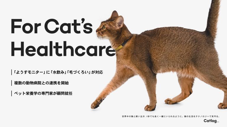 Catlog®（キャトログ）、猫様の健康変化の兆しをイチ早くお知らせする
