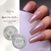 TOY's × INITY ニューオーロラパウダー 9色セット | TOY's × INITY