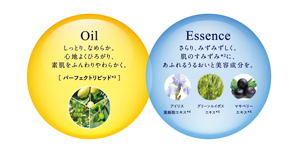 大人気グランビスオイルに、数量限定「増量ボトル」登場 2024.5.13