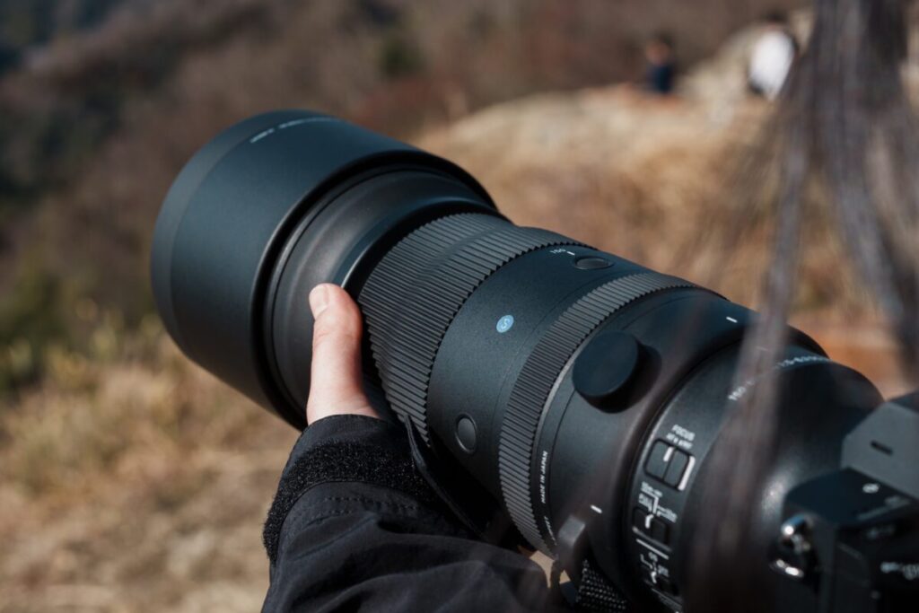 手持ちで超望遠。SIGMA 150-600mm F5-6.3 DG DN OS Sports レビュー