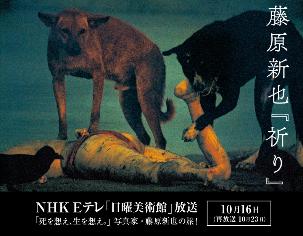 写真家 藤原新也さんの新作展覧会が10月16日のNHK Eテレ「日曜美術館