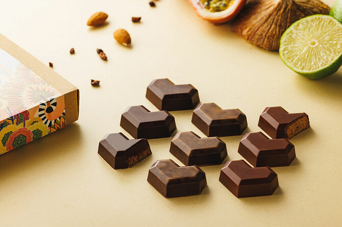 ル・ショコラ・アラン・デュカス】 カカオ産地の動物が描かれた箱入り