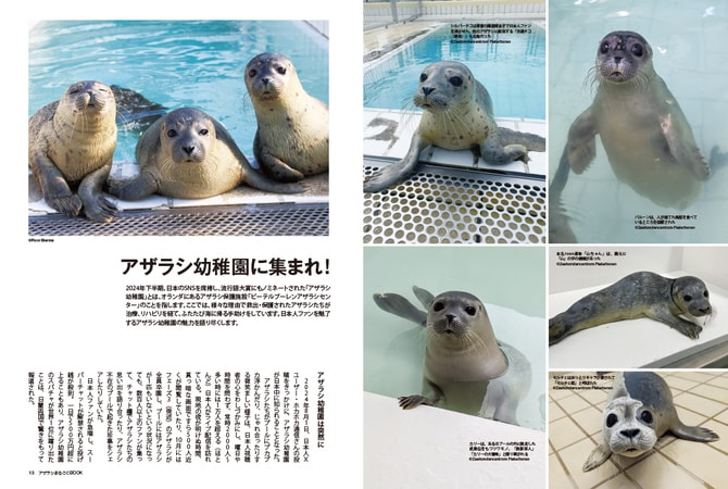 2ページ目)「もう会わないのが彼らの幸せ…」2024年、日本中を熱狂させ