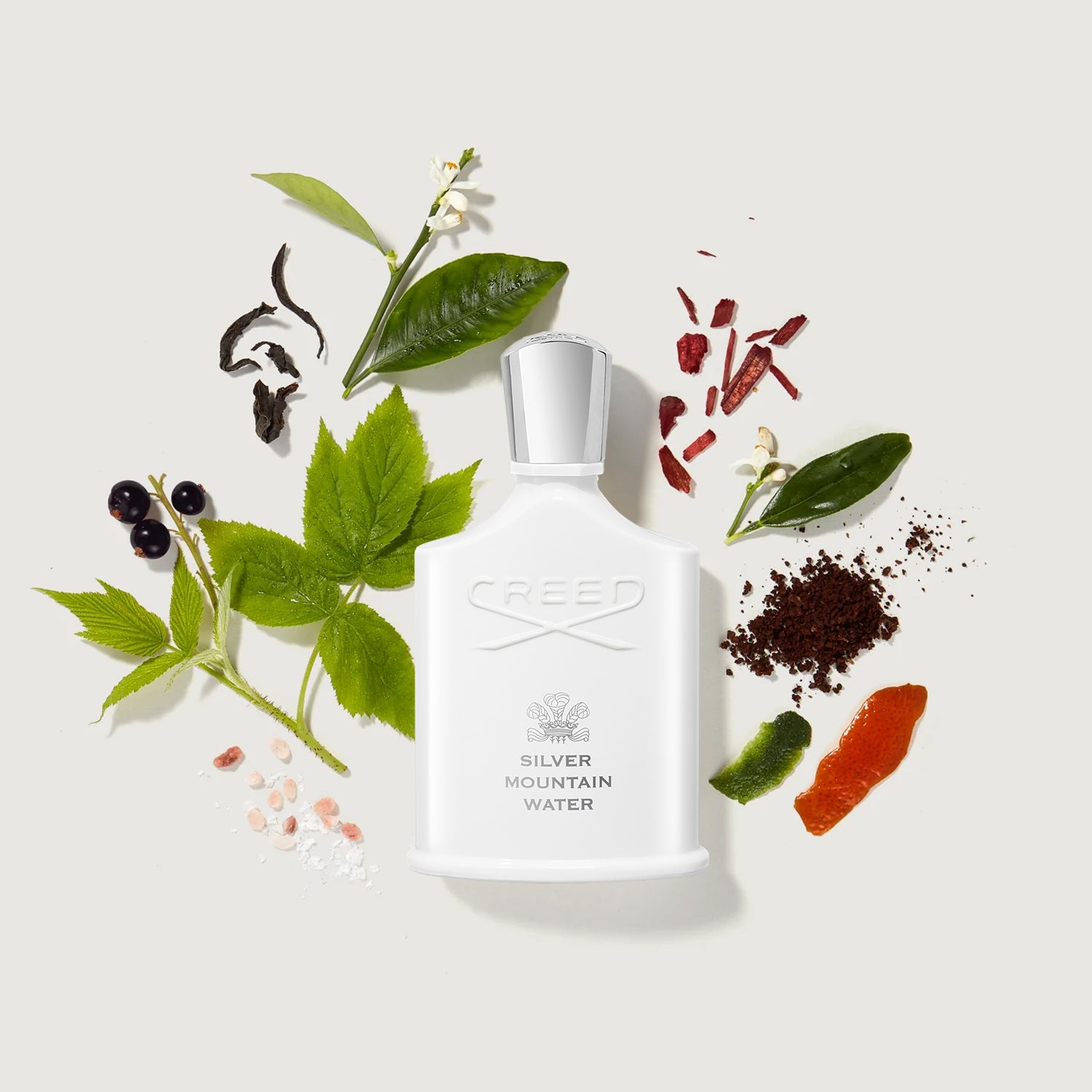 Silver Mountain Water | Creed Boutique US