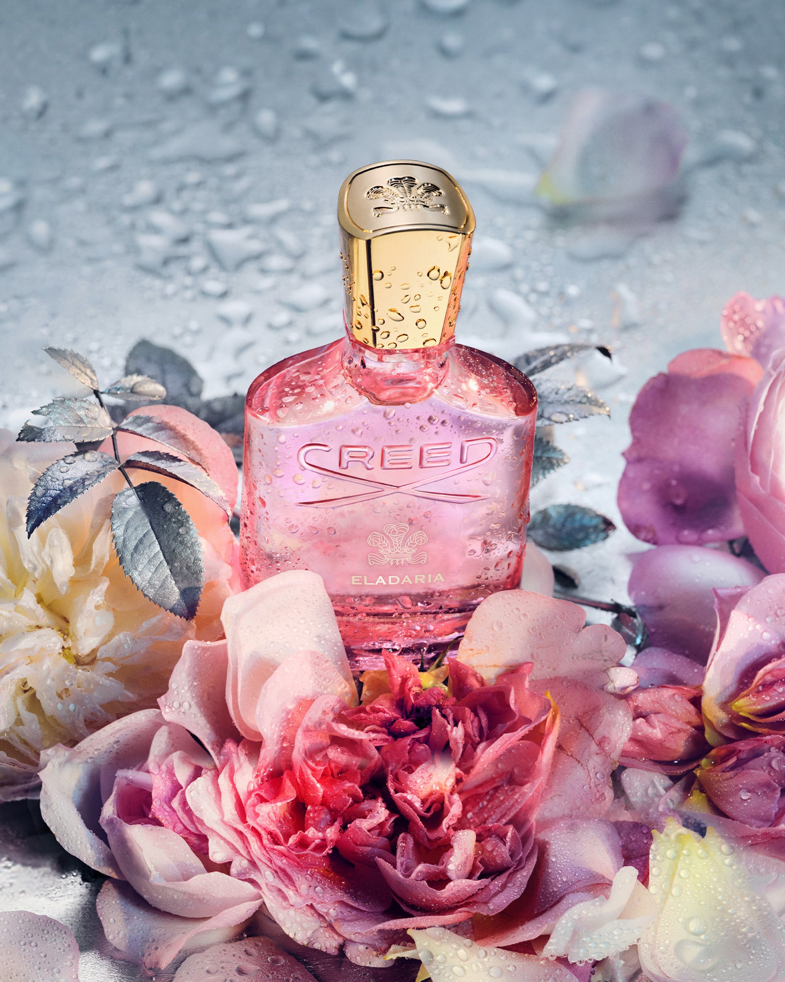 1600x2000_eladaria-wet.jpg?v=