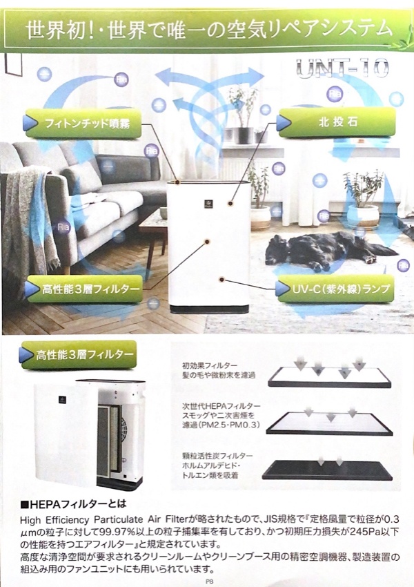 フィトンチッドの力 | Re clair