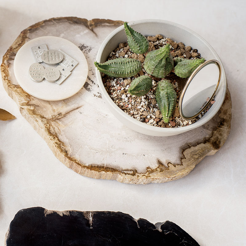 美しい木の化石「珪化木」のインテリア雑貨 | craft ness(クラフトネス