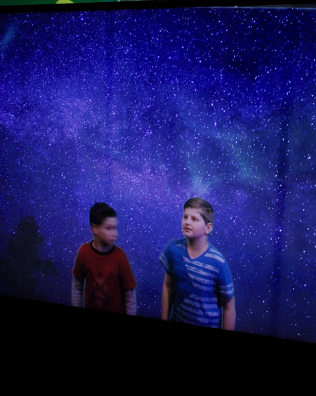 Forest of Illusions | Connecticut Science Center