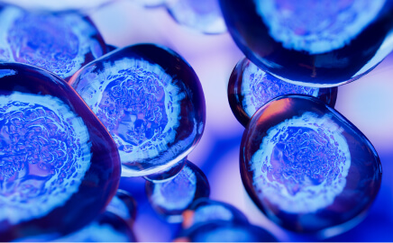 AXI タイムコネクトエッセンス