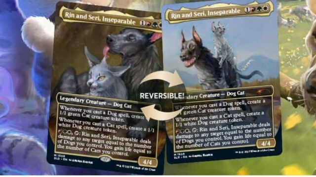 猫犬の統率者デッキ「Raining Cats and Dogs」がSecretLairに！内容