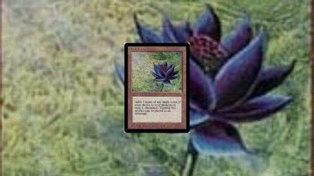 MTG】アルファ版ブラック・ロータスPSA鑑定評価10が約5300万円で落札