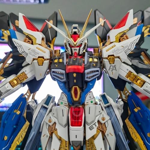 プラモ素材] ヘッド MGEX MG 1/100 ストライクフリーダムガンダム 用