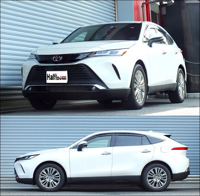 ハリアー80系専用 RS-R ローダウンスプリング(Ti2000 HALF DOWN) を