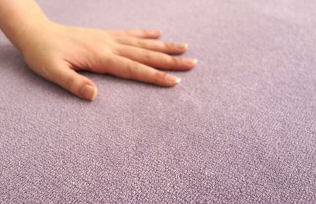 ラグ ウールレックス 防炎 消臭 防ダニ 制電 防虫 100×140cm｜スミノエ