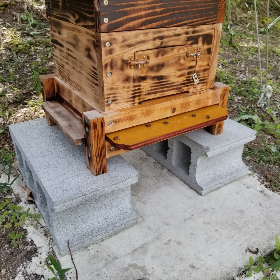 4面巣門にされている皆様への質問させて頂きます