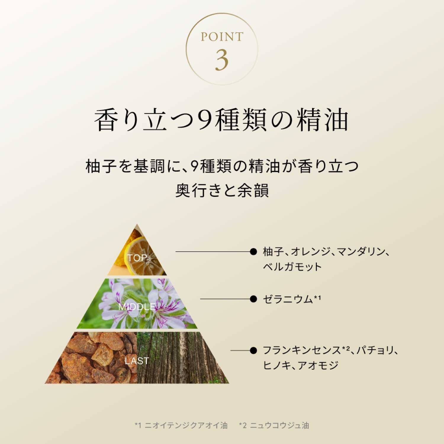 Celvoke】カームブライトニング クレンジングオイル ビッグボトル