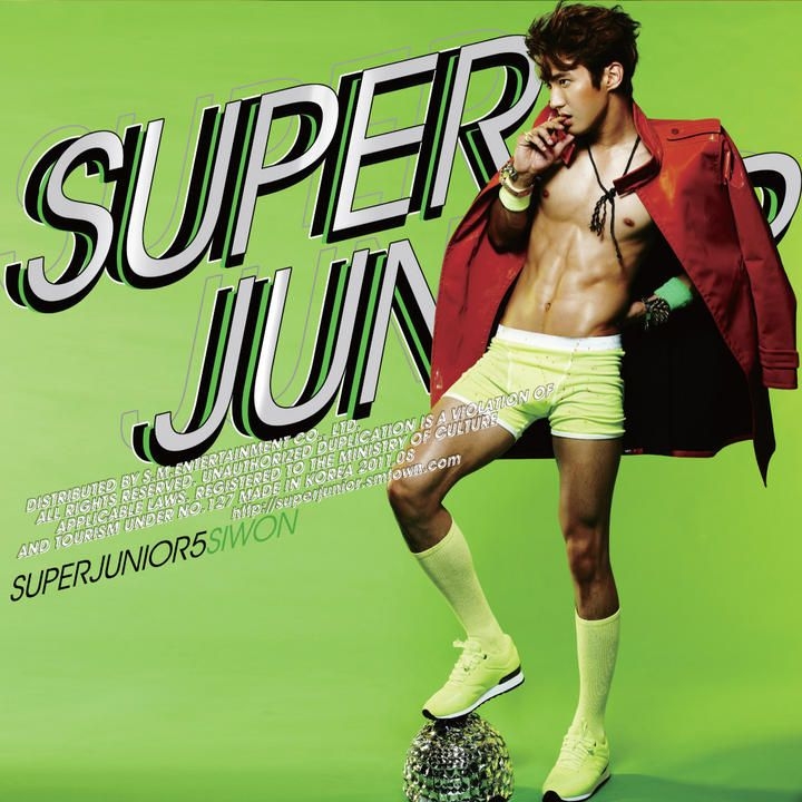 SUPER JUNIOR Mr.Simple LP版 ドンヘ イトゥク SUPER JUNIOR Mr.Simple