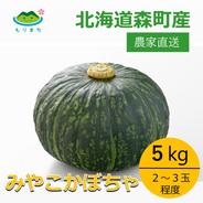 北海道森町産みやこかぼちゃ10kg | 野菜/かぼちゃ 産直アウル 農家
