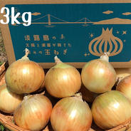 淡路島玉ねぎ&無農薬ピーナッツカボチャ 北海道・沖縄・離島配送不可