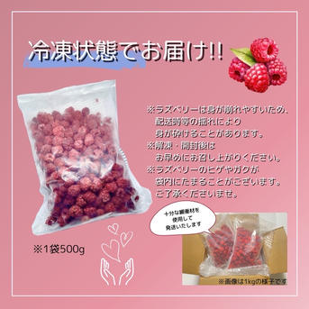 1kg】信州駒ヶ根ラズベリーファームの希少な国産ラズベリー（冷凍