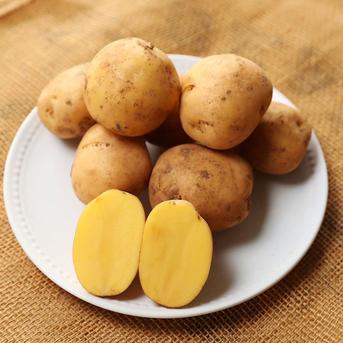 春の新じゃがいも ながさき黄金 10㎏ | 野菜/じゃがいも 産直アウル