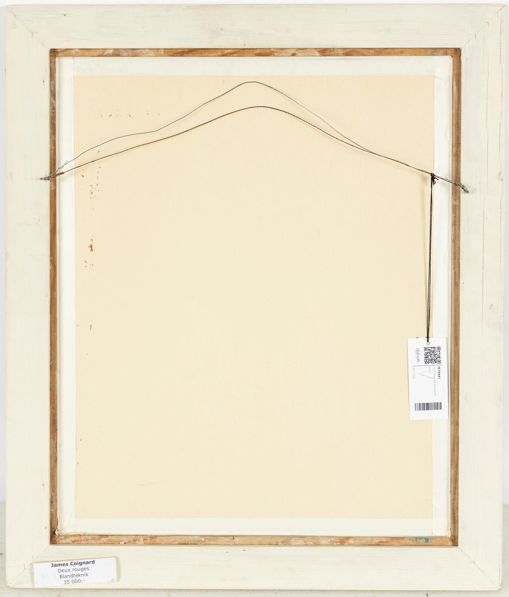 希少！ジェームス・コワニャール James COIGNARD 画集 フランス版 希少