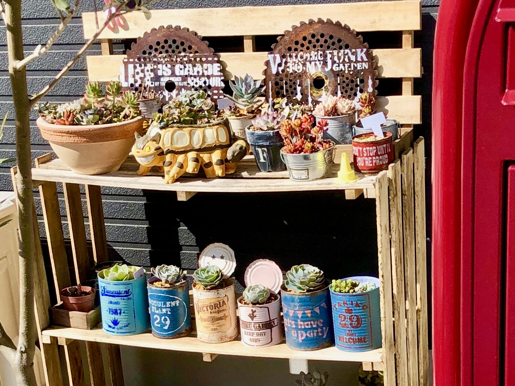 夏の暑さ対策にも◎みんなの多肉棚DIYをまとめてみた！｜🍀GreenSnap