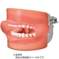 頬粘膜ボックス フルカバー [ニッシン]の通販 | Ciモール | Ciモール