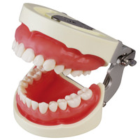 頬粘膜ボックス フルカバー [ニッシン]の通販 | Ciモール | Ciモール