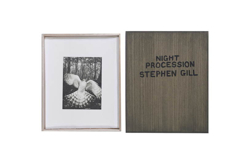 Night Procession - スティーブン・ギル | shashasha 写々者 - 写真集